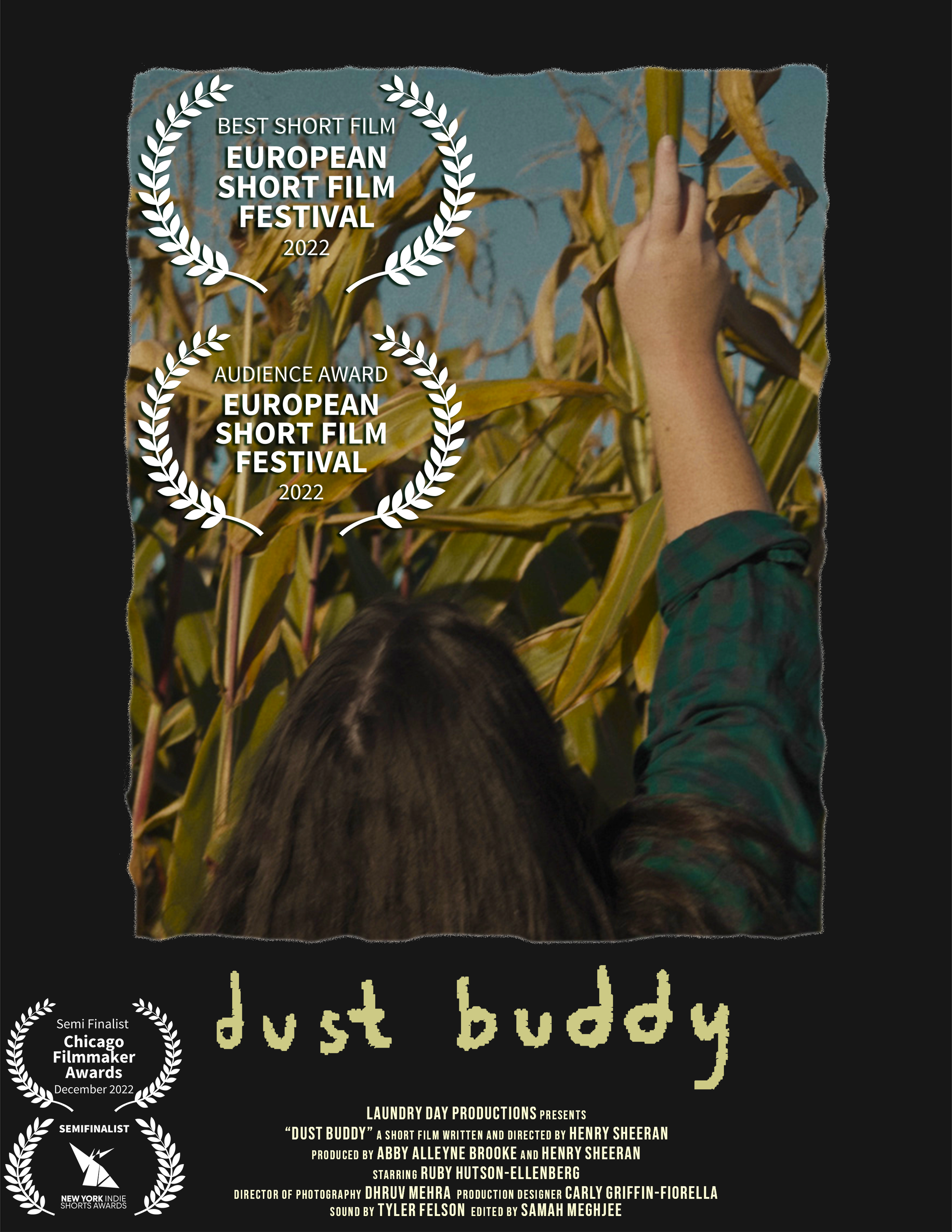 Dust Buddy-DustBuddyPoster.png