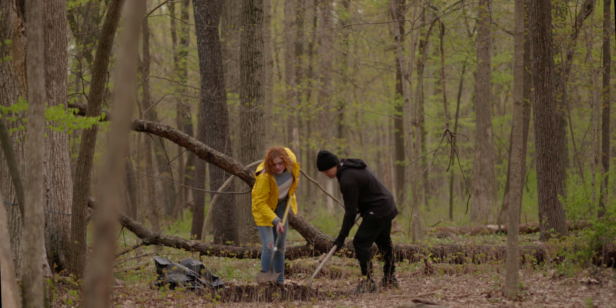 In the Woods-final.jpg