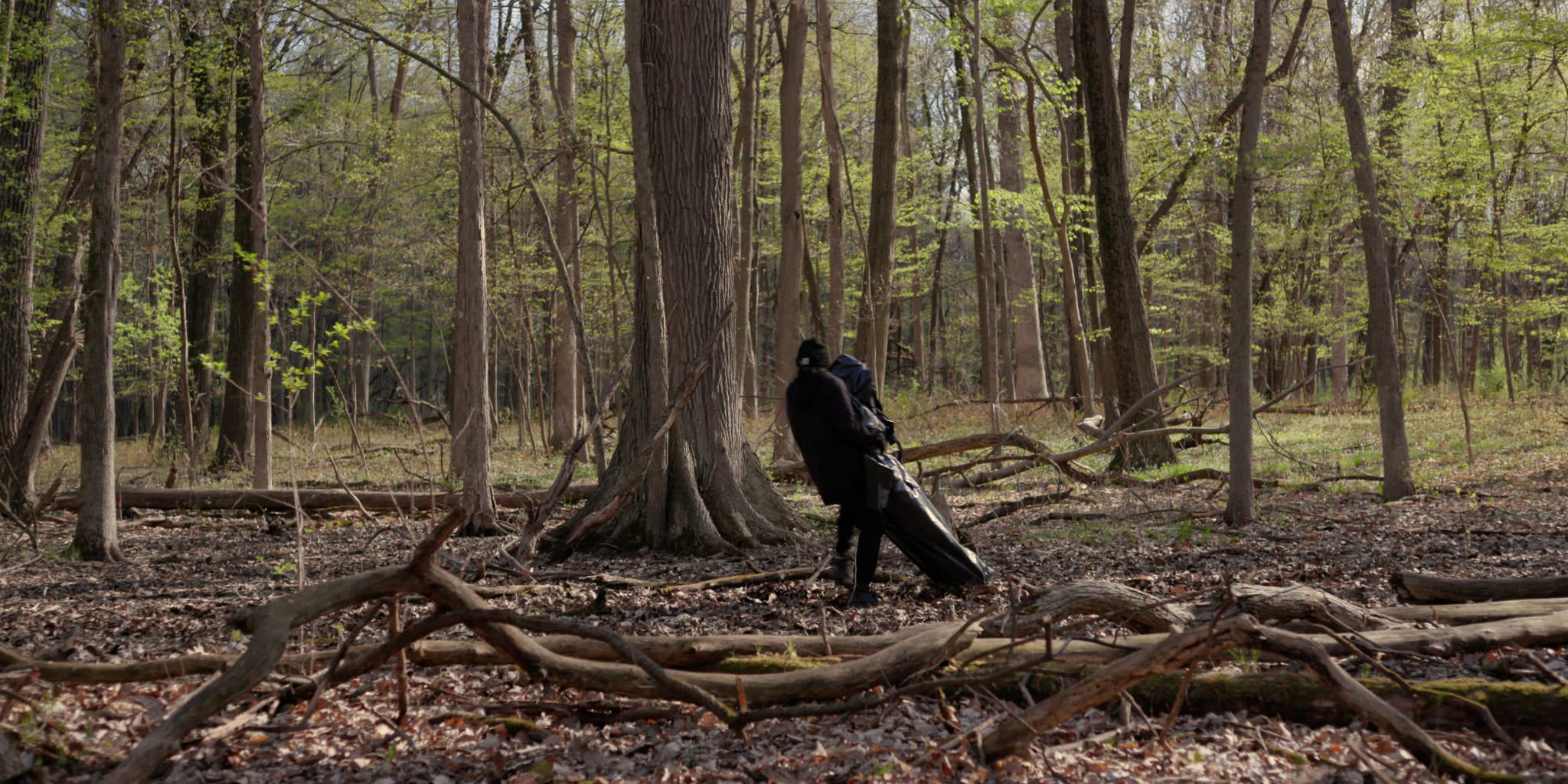 In the Woods-grab.jpg