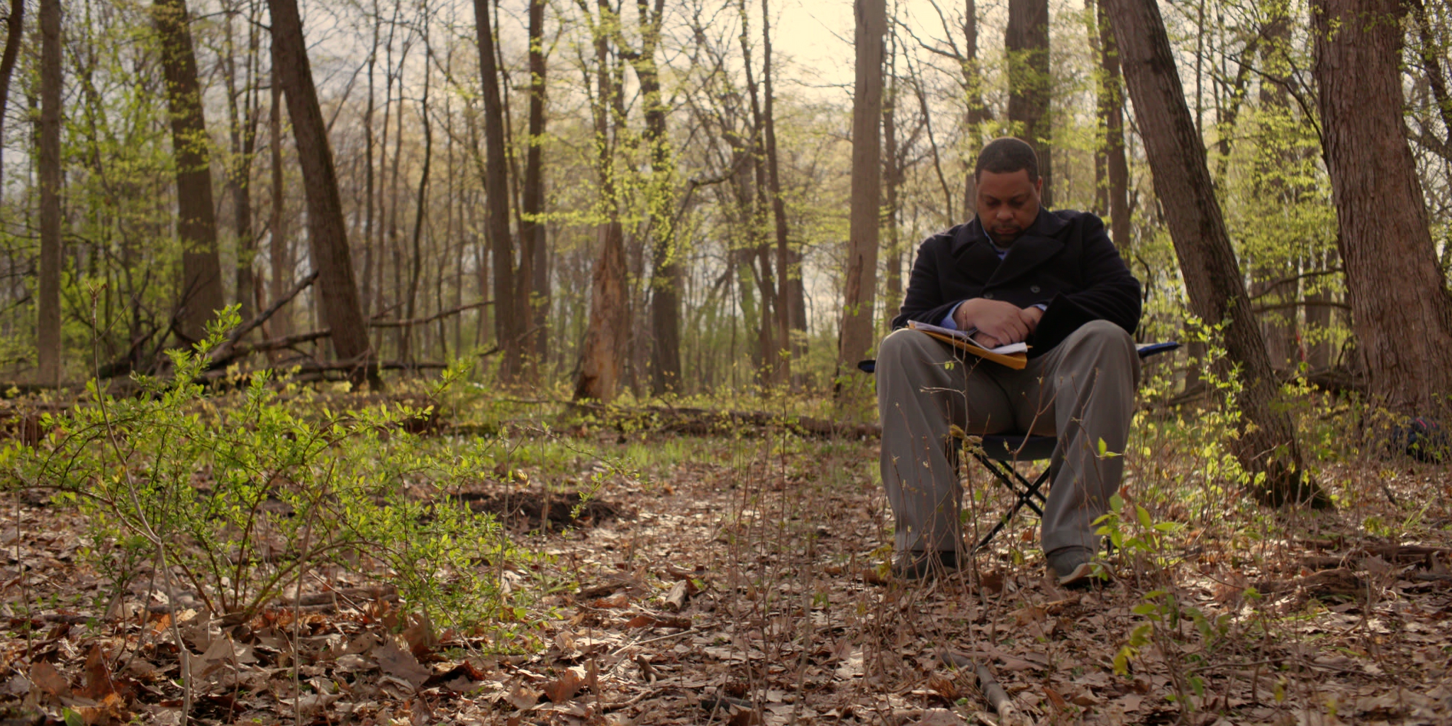 In the Woods-sleep.jpg